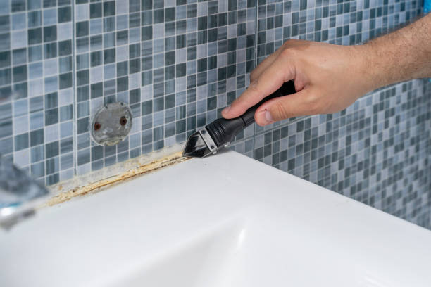 Best Preventive Mold Services in Emory, VA